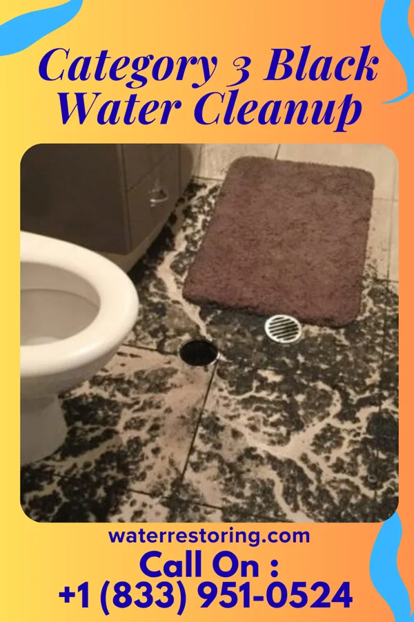 Category 3 Black Water Cleanup in Williamsport, MD