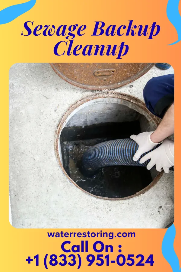 Sewage Backup Cleanup in Williamsport, MD