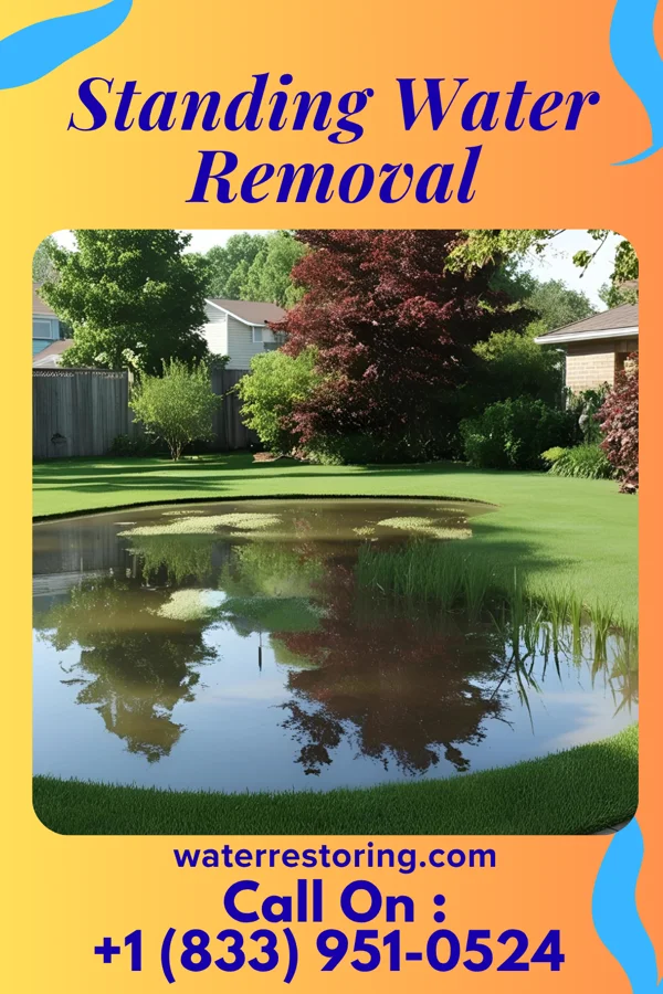 Standing Water Removal in Williamsport, MD